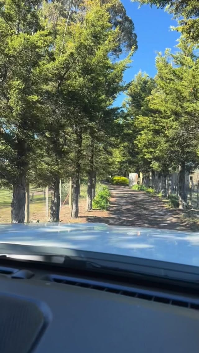 Post 8 by Chloe May Pike on Instagram (video)