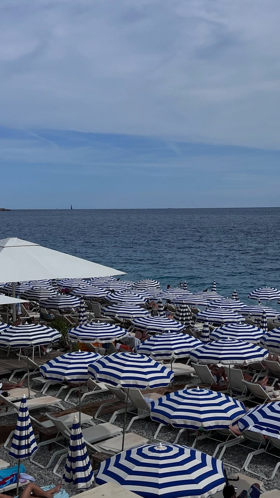 Post 7 by I A M S H E L L Y on Instagram (video)