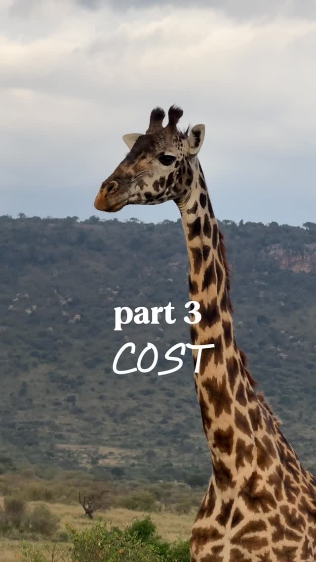 Post 8 by TIFFANY MEI on Instagram (video)