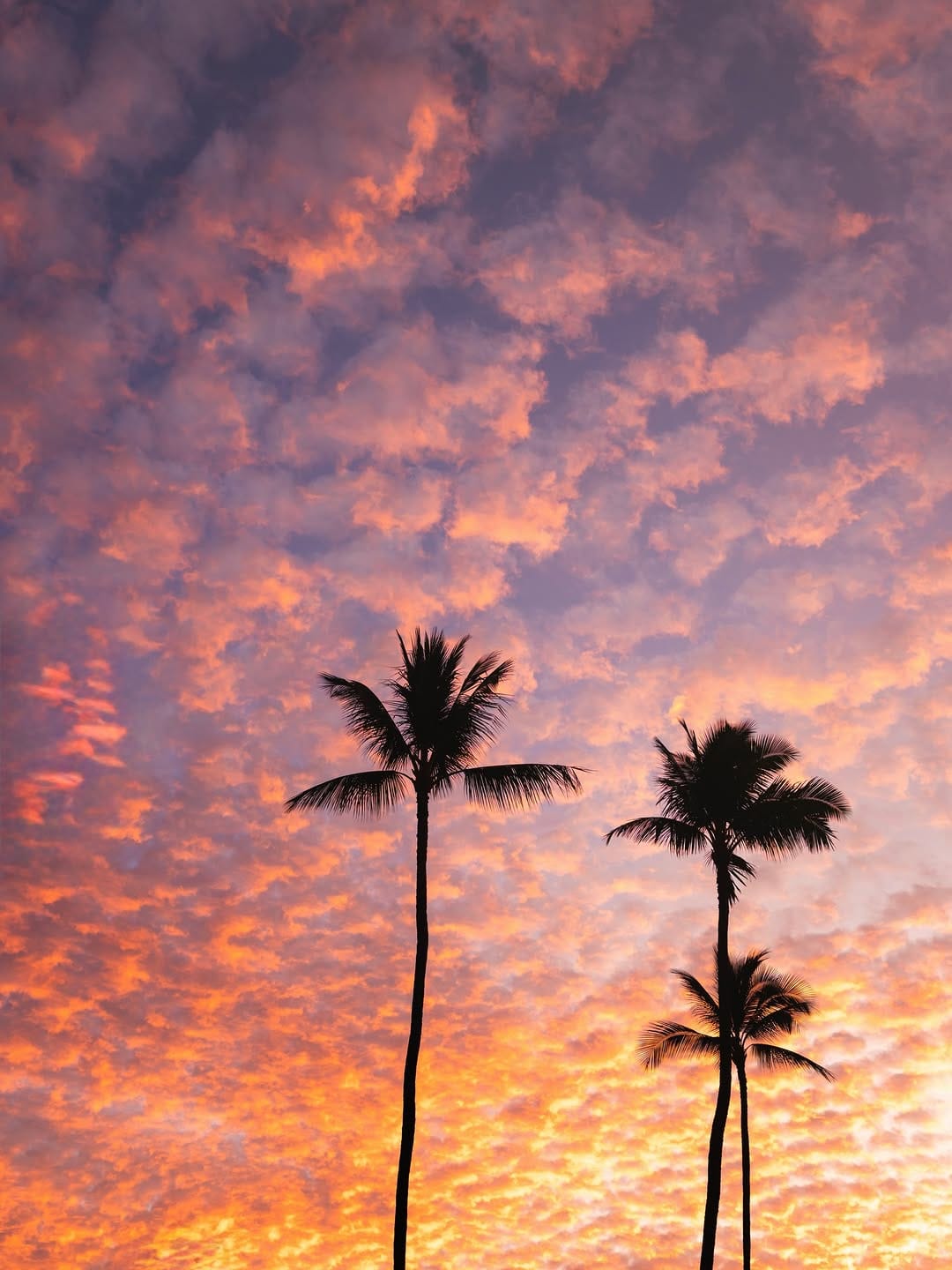 Post 3 by Love and Water Photography | Maui, HI on Instagram (carousel)