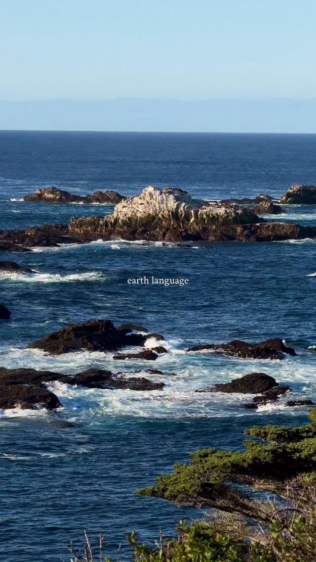 Post 2 by daniel gorostieta on Instagram (video)
