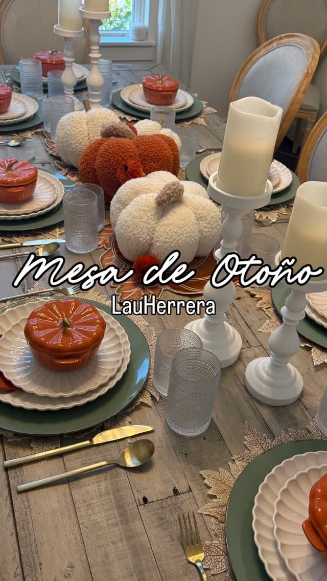 Post 5 by Laura Herrera on Instagram (video)