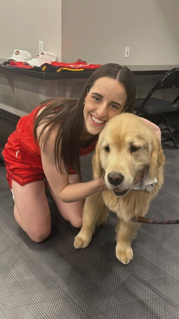 Post 8 by Melanie Joy & 4 GOLDEN RETRIEVER BOYS | THERAPY DOGS on Instagram (video)
