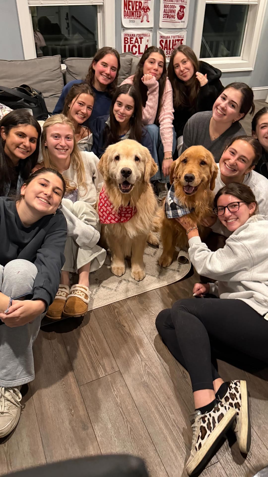 Post 1 by Melanie Joy & 4 GOLDEN RETRIEVER BOYS | THERAPY DOGS on Instagram (video)