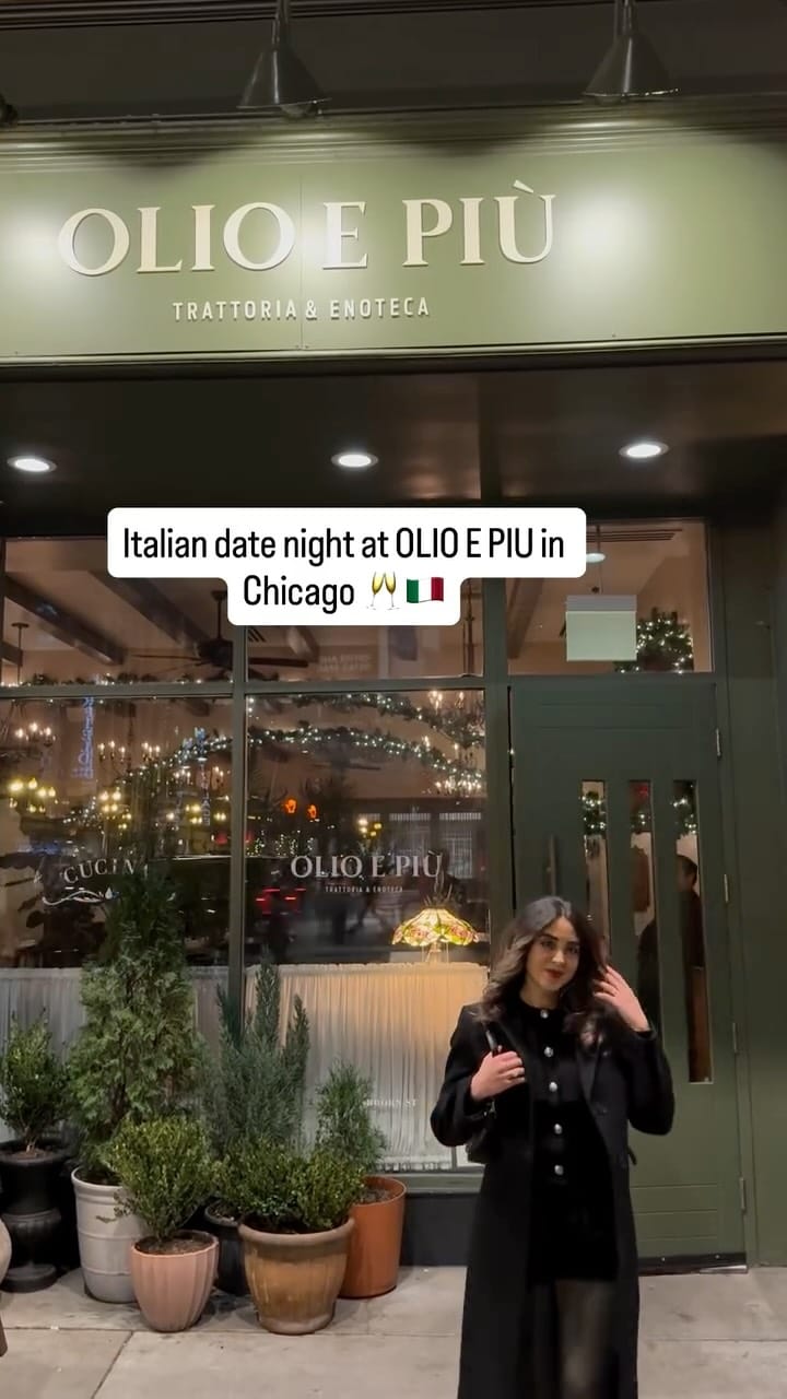 Post 4 by Fatemeh on Instagram (video)