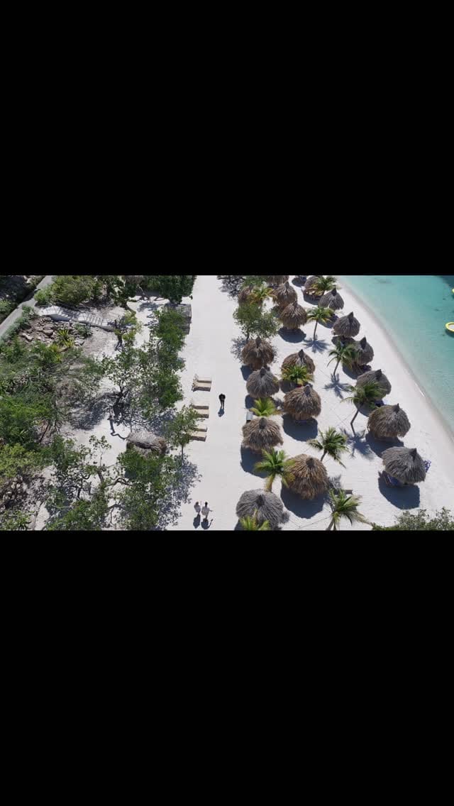 Post 7 by De'el Woods|Winner's Circle🥋 on Instagram (video)