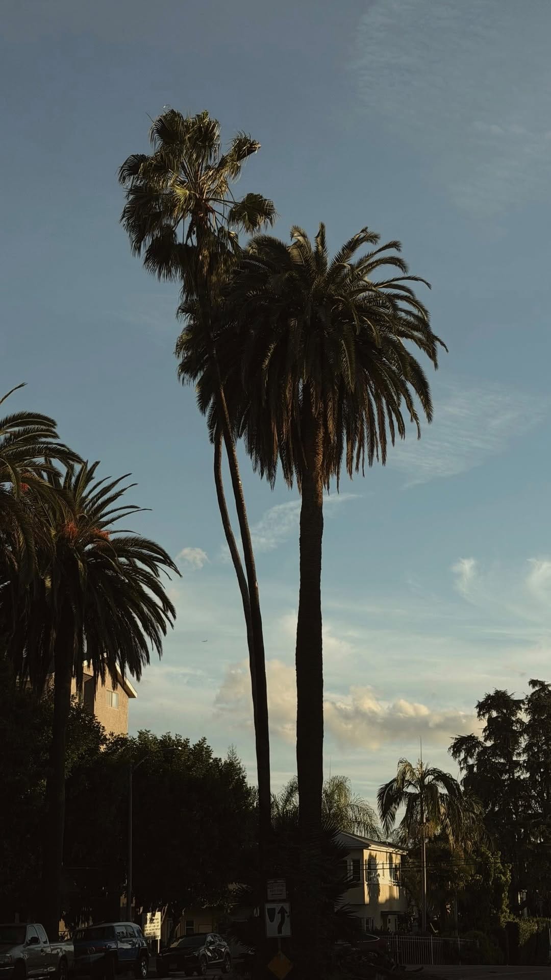 Post 4 by Tyler James on Instagram (video)