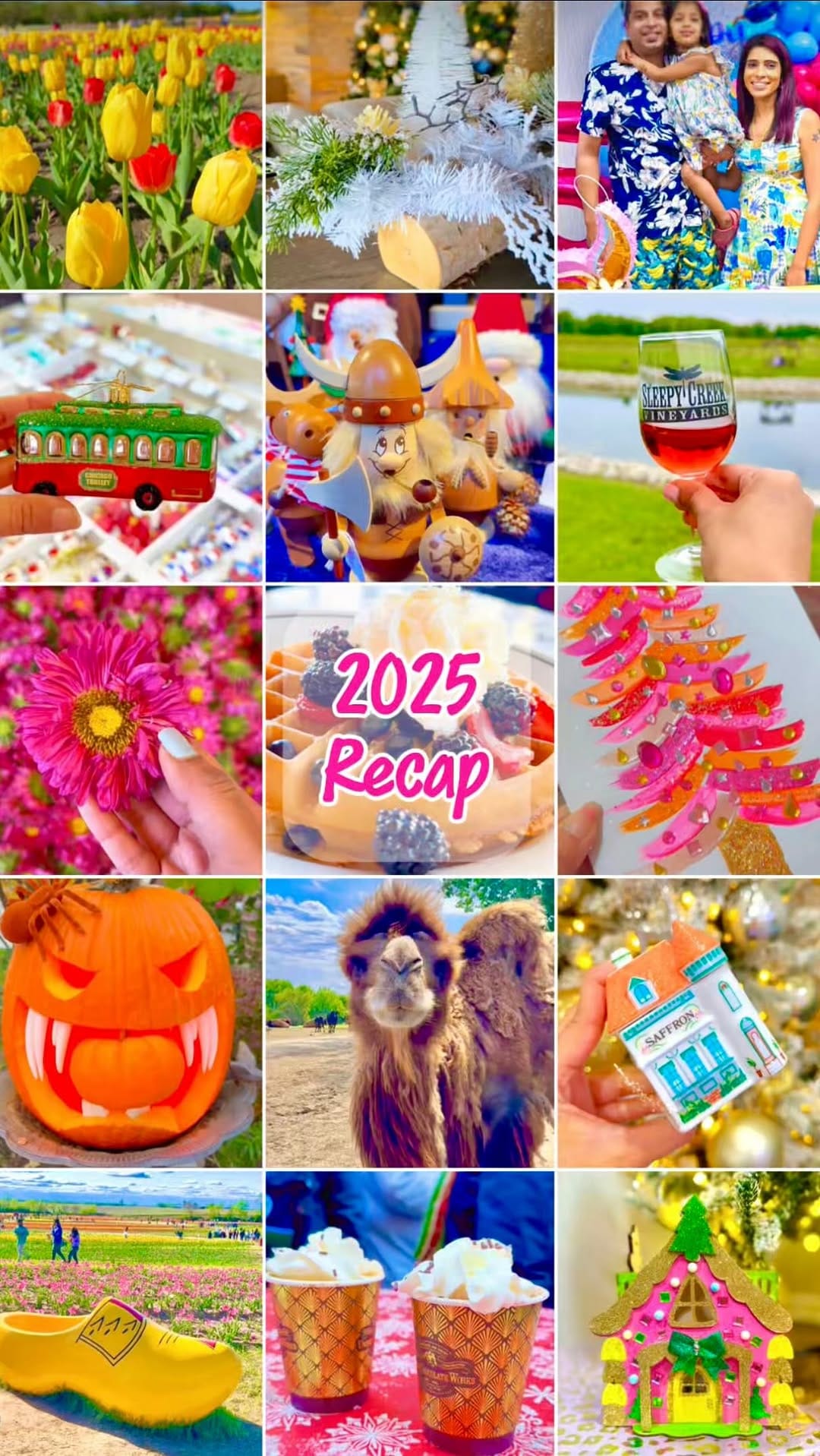 Post 2 by Prajakta Sharma | Chicago Content Creator on Instagram (video)