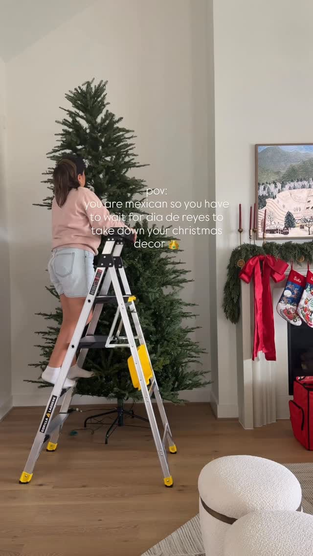 Post 5 by Erika Marin on Instagram (video)