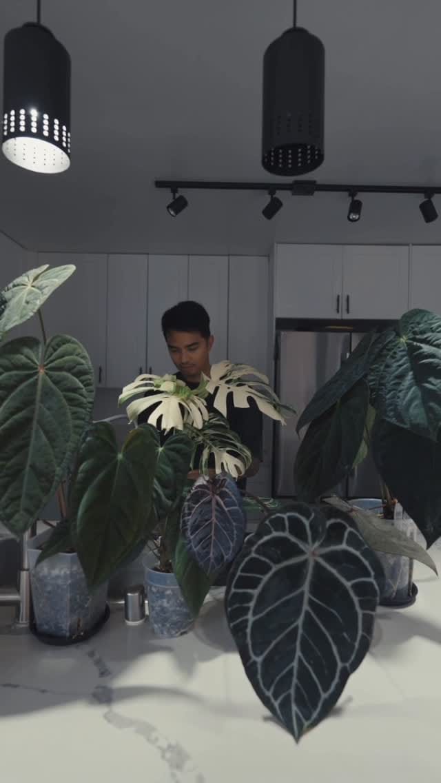 Post 1 by JC Ferrer on Instagram (video)