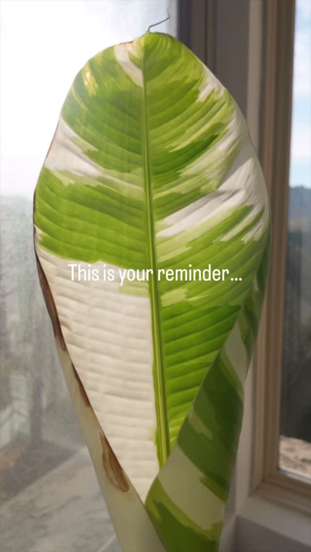 Post 6 by JC Ferrer on Instagram (video)