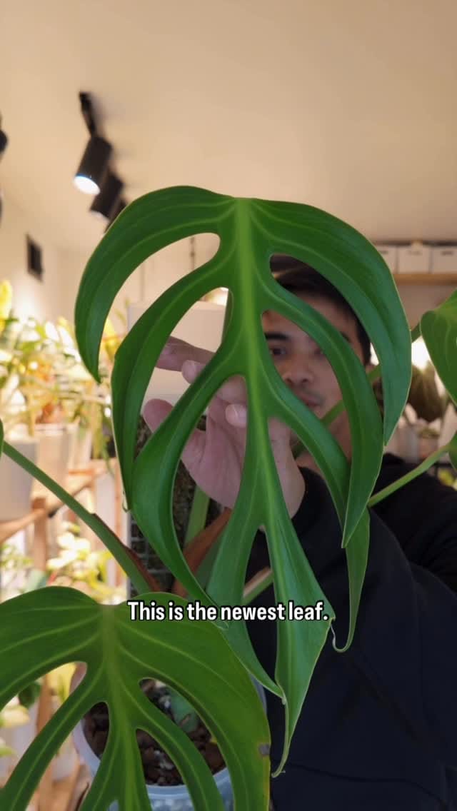 Post 4 by JC Ferrer on Instagram (video)