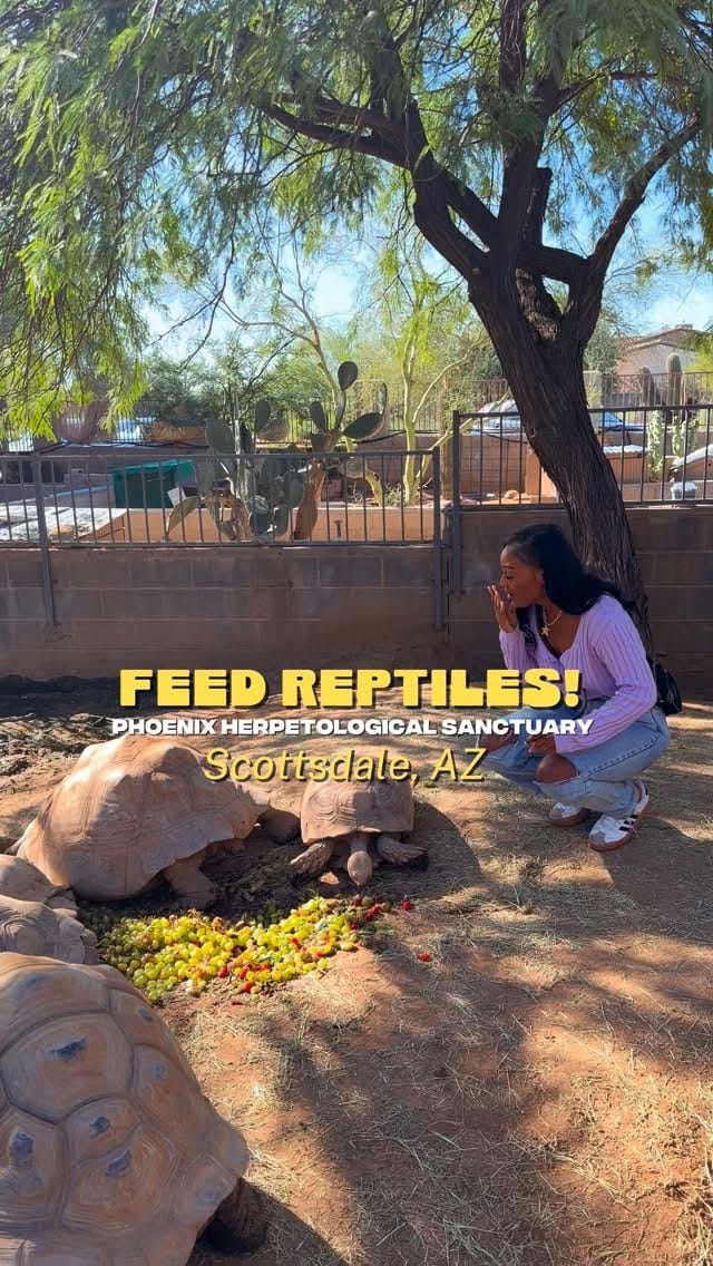 Post 6 by Aiesha | AZ Content Creator on Instagram (video)