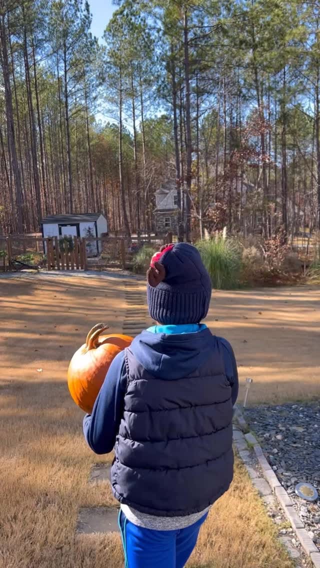 Post 8 by Jil Hinds on Instagram (video)