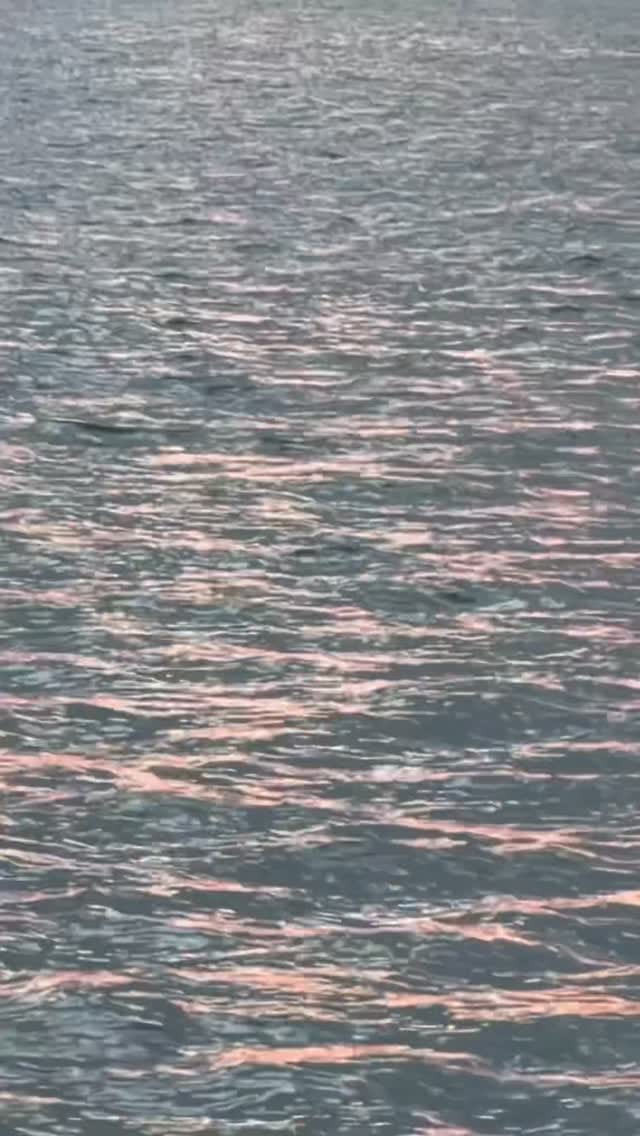 Post 7 by Paola Perez on Instagram (video)