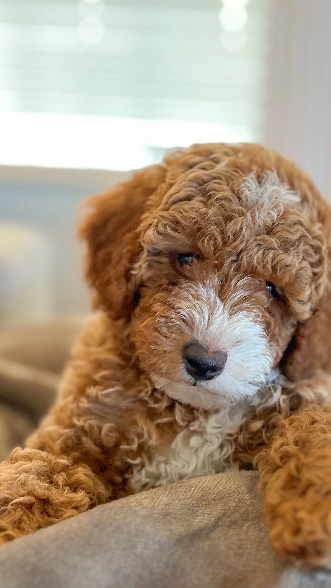 Post 2 by Wendy Bentley on Instagram (video)