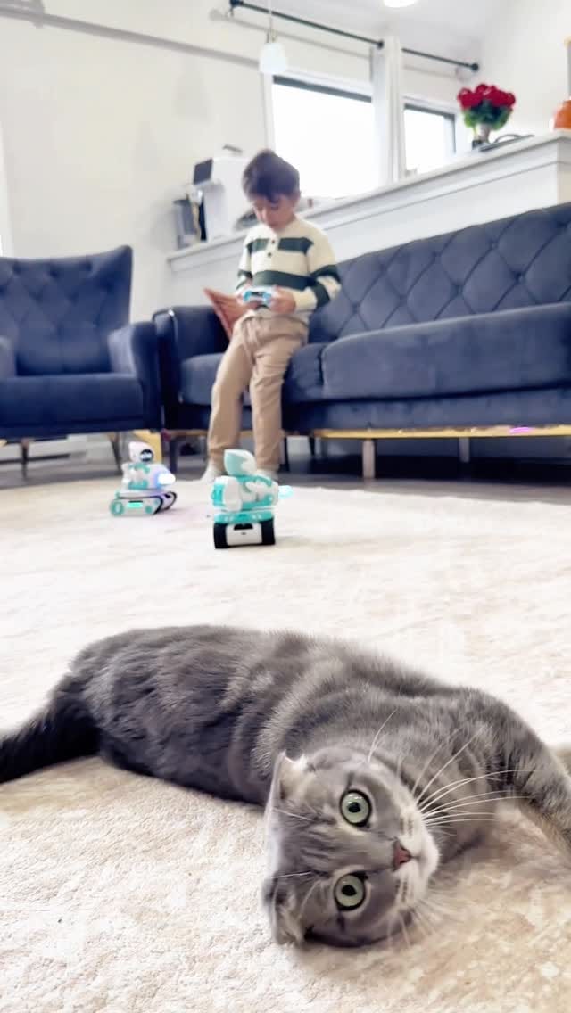 Post 3 by NORA on Instagram (video)