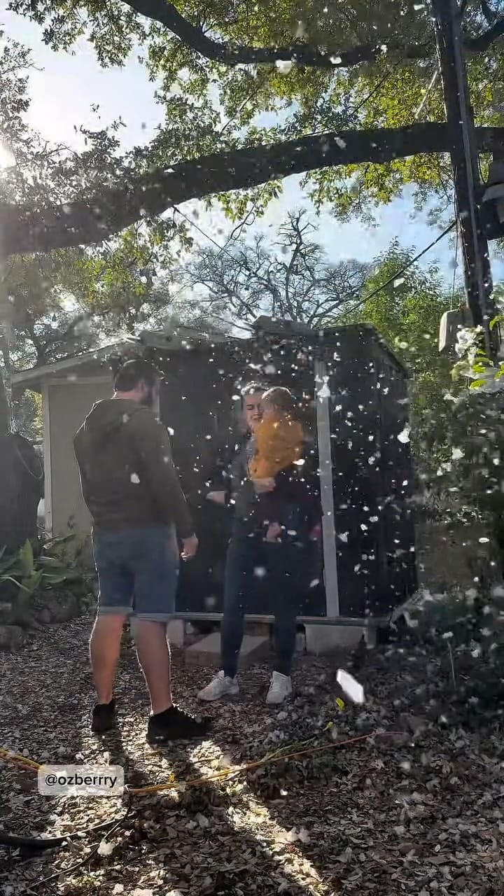Post 7 by Ozberrry on Instagram (video)