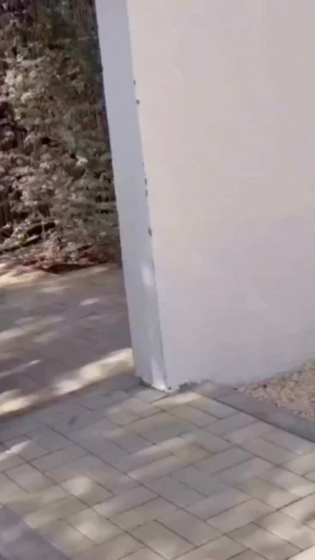 Post 9 by Steve Kemble on Instagram (video)