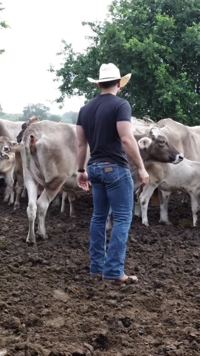 Post 1 by Luis Zaleta on Instagram (video)