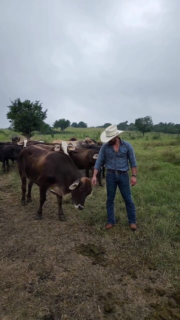 Post 7 by Luis Zaleta on Instagram (video)