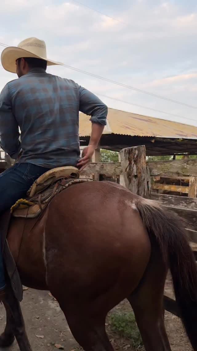 Post 9 by Luis Zaleta on Instagram (video)