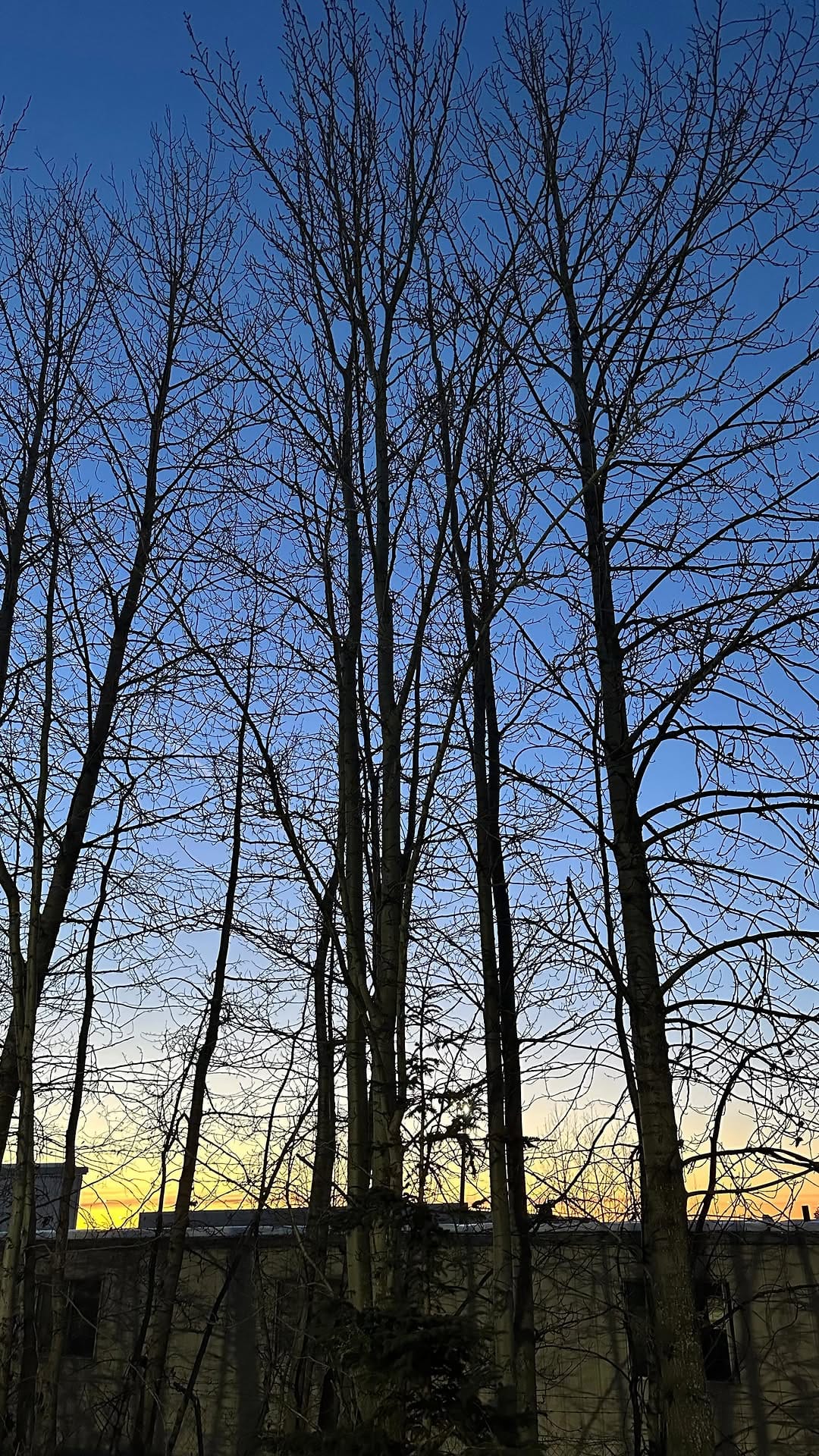 Post 8 by Lisbeth Payamps on Instagram (video)