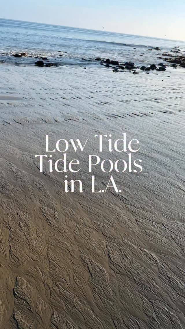 Post 7 by Veronica Navarro🖤The L.A. Mama on Instagram (video)