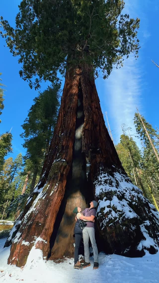 Post 5 by Megan Allen on Instagram (video)