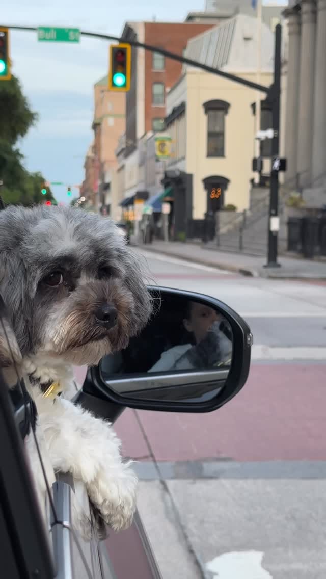 Post 6 by Irina Kotok on Instagram (video)