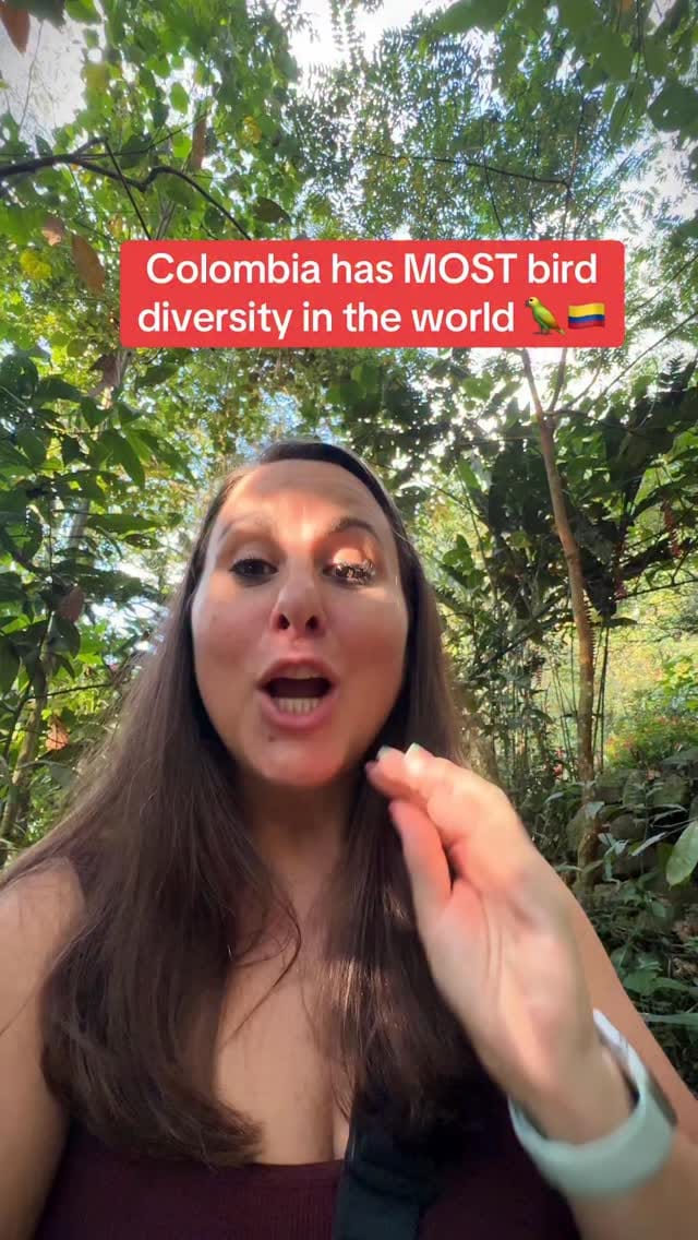 Post 1 by Nick, Sam, Goose & Mona | Colombia Expats on Instagram (video)
