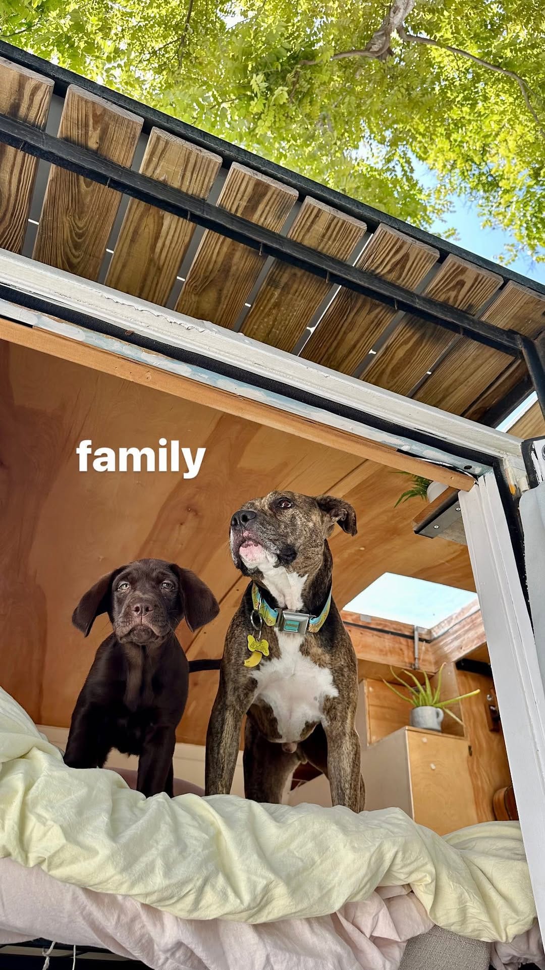 Post 10 by Sam and Kelly on Instagram (video)