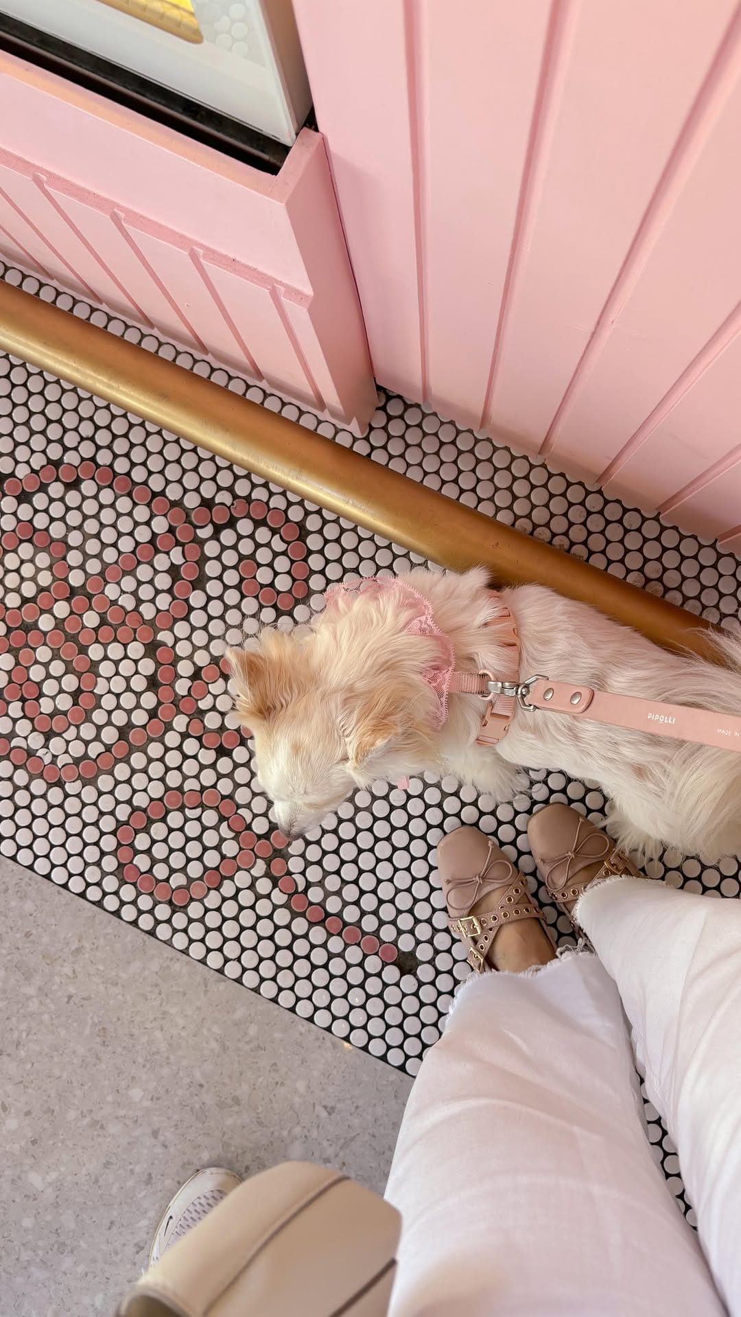 Post 4 by 𝒦𝒶𝓇𝓁𝒶 ♡ Pink lifestyle on Instagram (video)