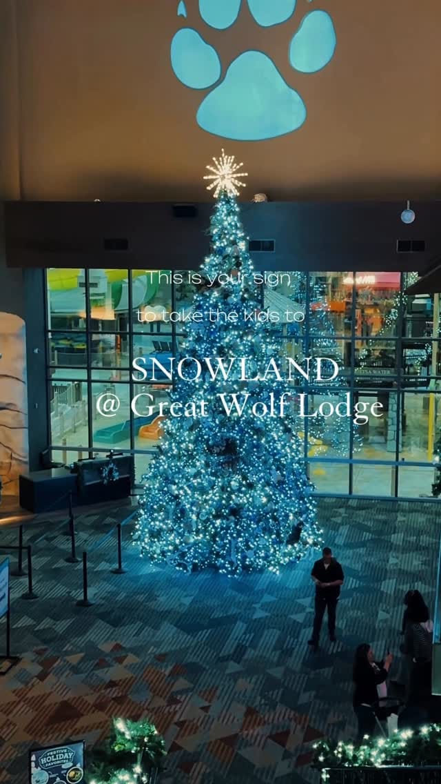 Post 8 by Nita Danielle on Instagram (video)