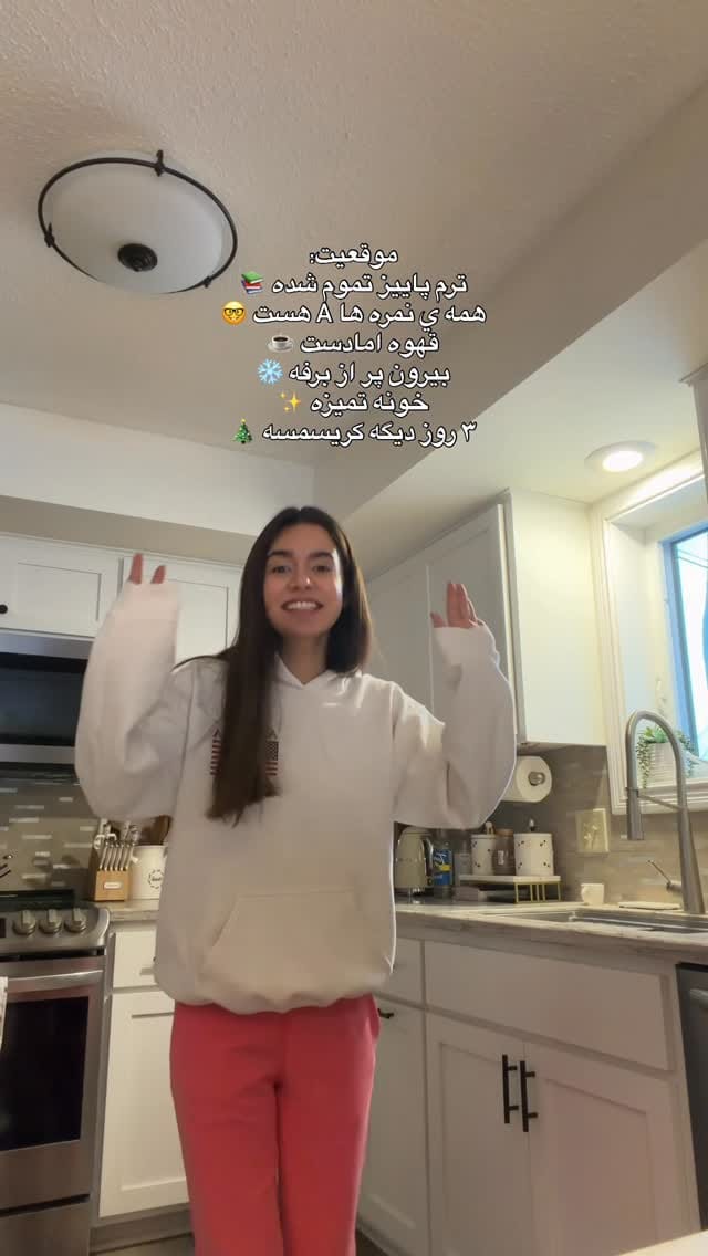 Post 1 by Nesa Einafshar on Instagram (video)