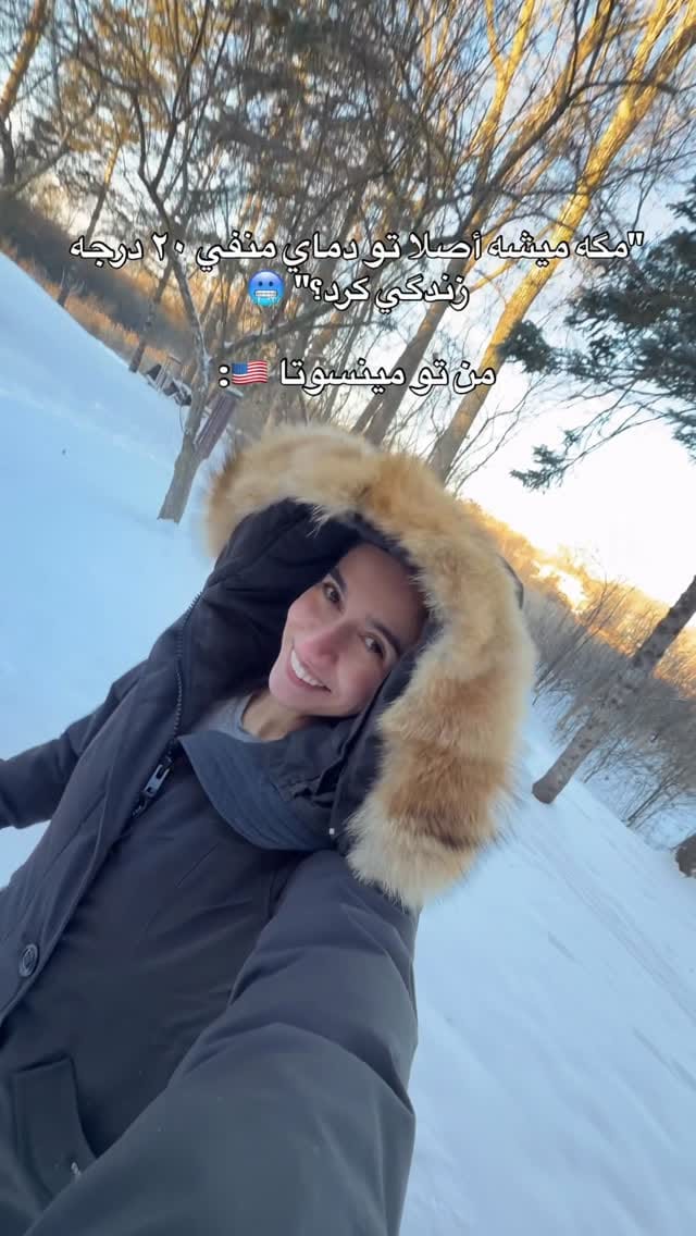 Post 2 by Nesa Einafshar on Instagram (video)