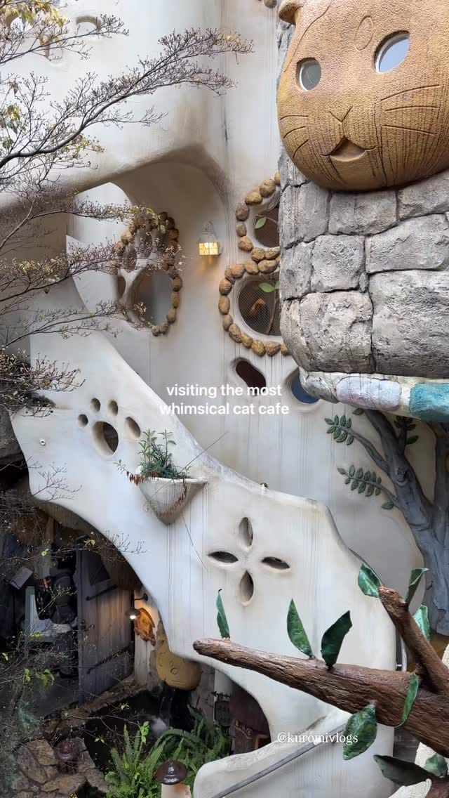 Post 3 by amanda  ˘͈ᵕ˘͈ on Instagram (video)