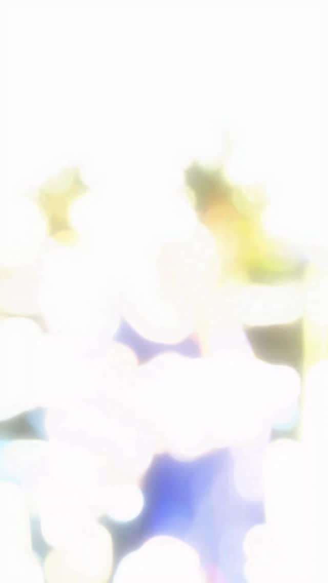 Post 8 by Aysegul Bahar Sonmez on Instagram (video)