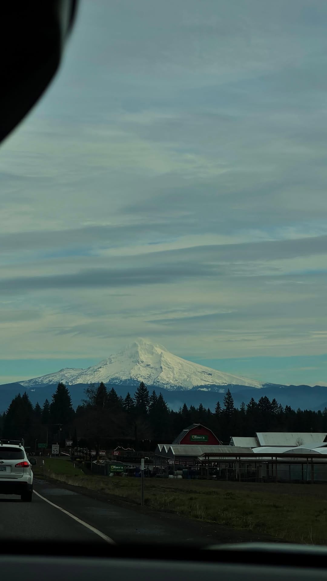 Post 7 by ellie gentry barrows on Instagram (video)