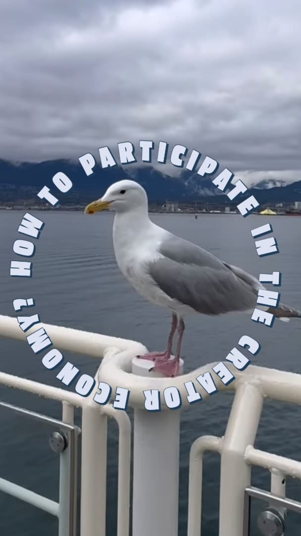 Post 10 by Naomi Gabriel Adventures on Instagram (video)