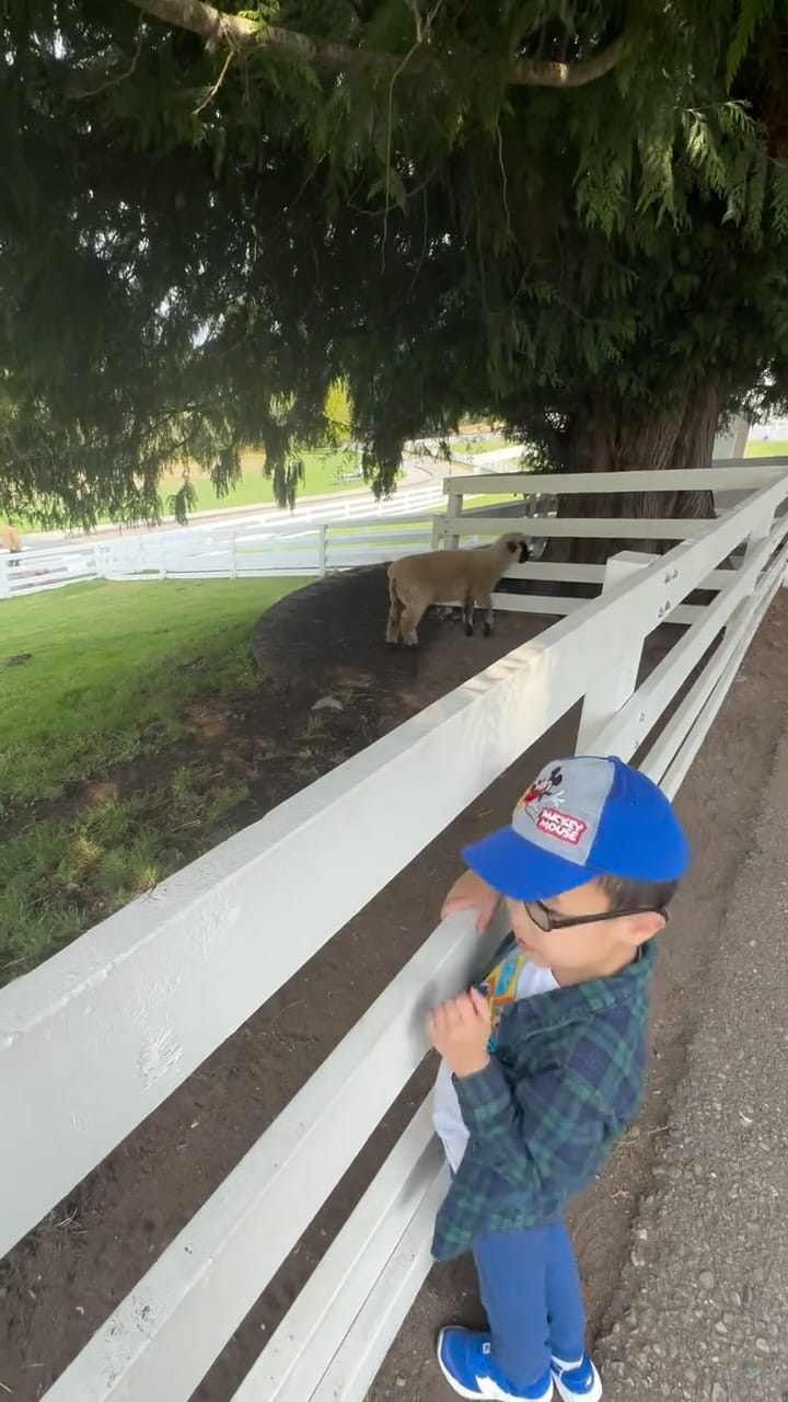 Post 5 by Naomi Gabriel Adventures on Instagram (video)