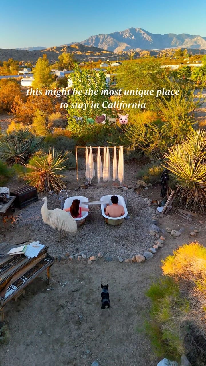 Post 8 by Natalia Hasenkampf | San Diego + Travel on Instagram (video)