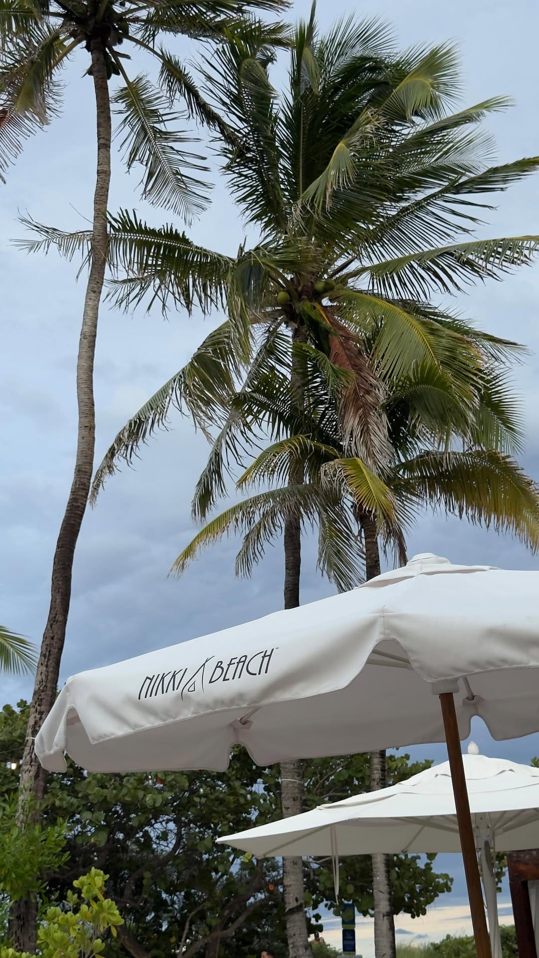 Post 4 by ANASTASIA BELIKOVA | Miami blogger on Instagram (video)