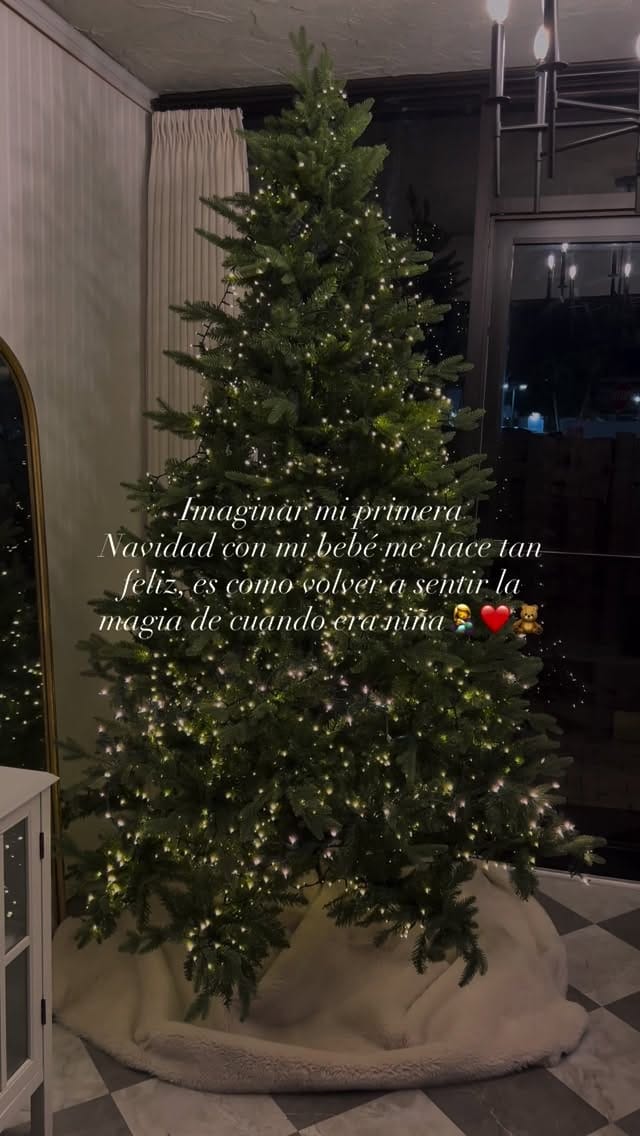 Post 1 by Neiba Salinas✨ on Instagram (video)