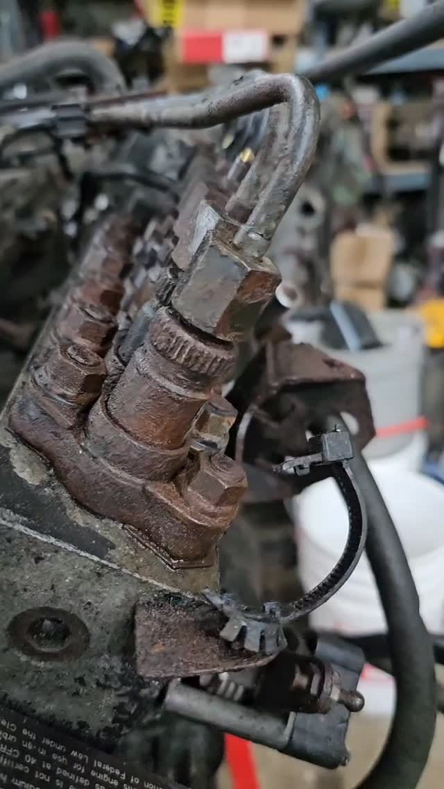 Post 3 by Halle Rose on Instagram (video)