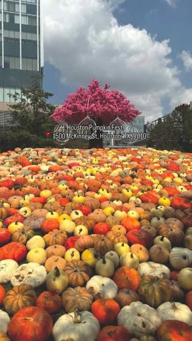 Post 6 by Marium Khan on Instagram (video)