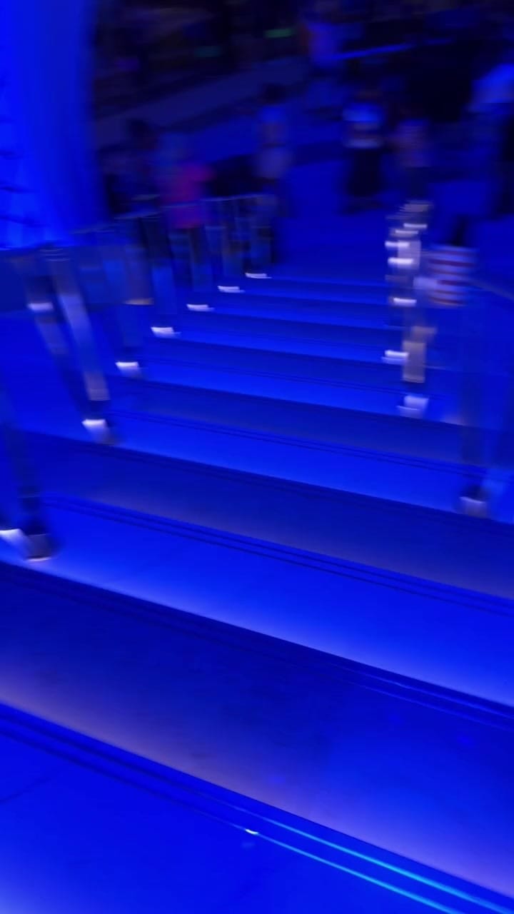 Post 8 by Genevieve Gonzalez on Instagram (video)