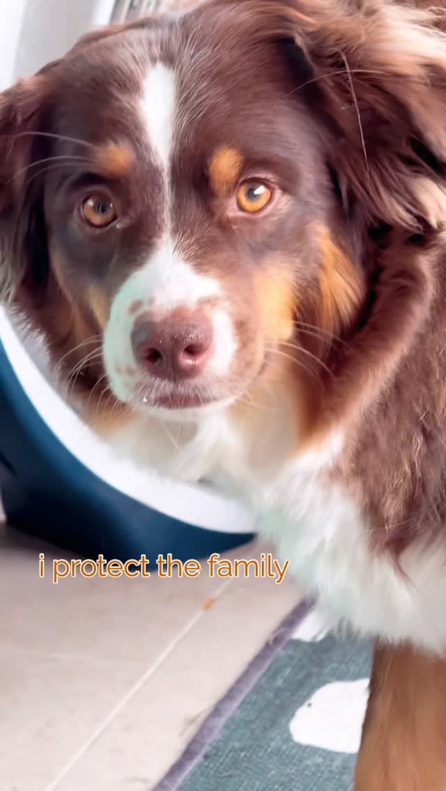 Post 2 by 𝕡𝕖𝕟𝕟𝕪 𝕝𝕒𝕟𝕖 on Instagram (video)
