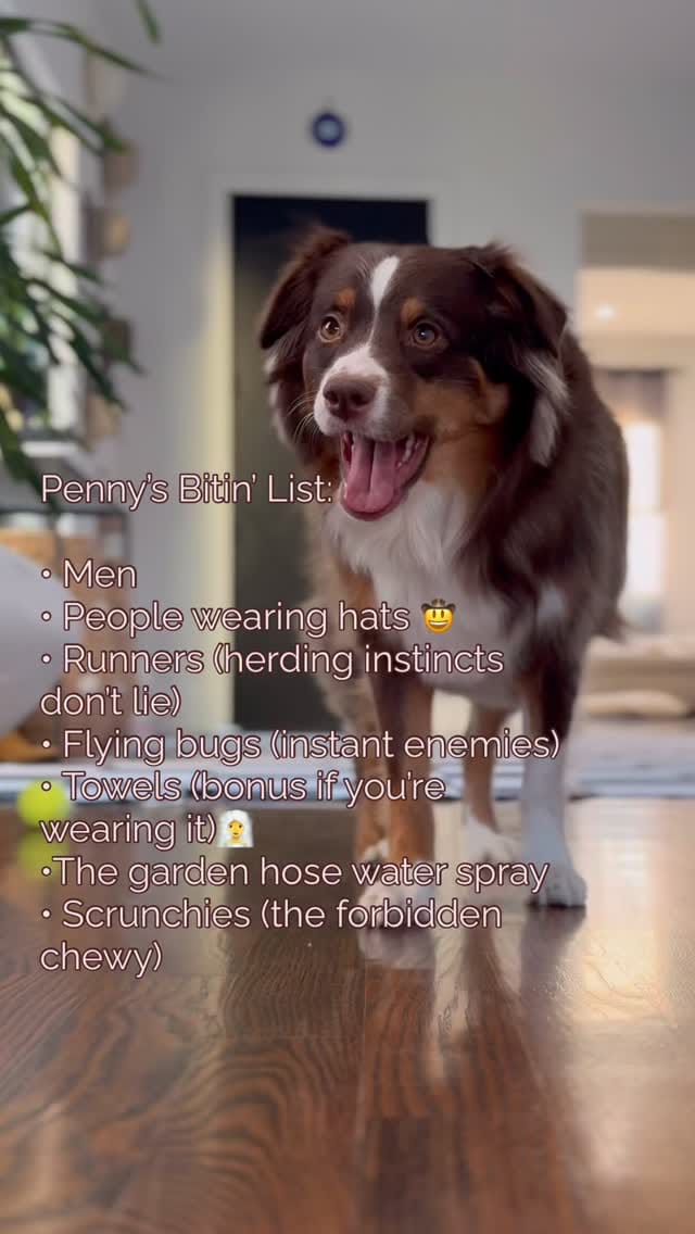 Post 6 by 𝕡𝕖𝕟𝕟𝕪 𝕝𝕒𝕟𝕖 on Instagram (video)