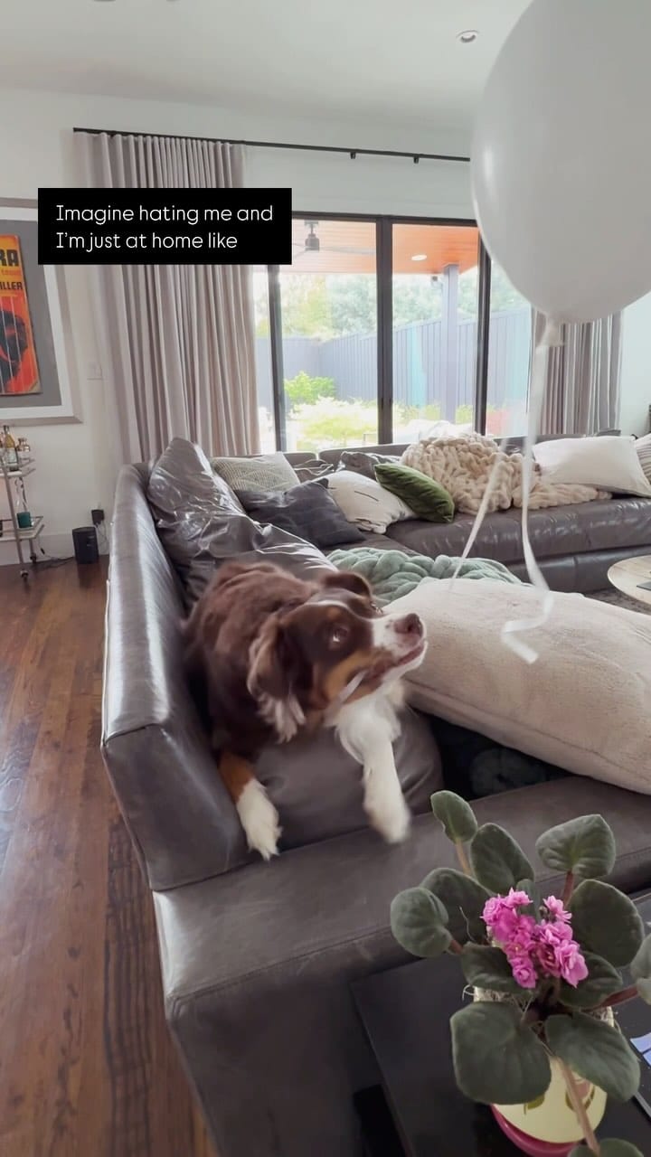 Post 10 by 𝕡𝕖𝕟𝕟𝕪 𝕝𝕒𝕟𝕖 on Instagram (video)
